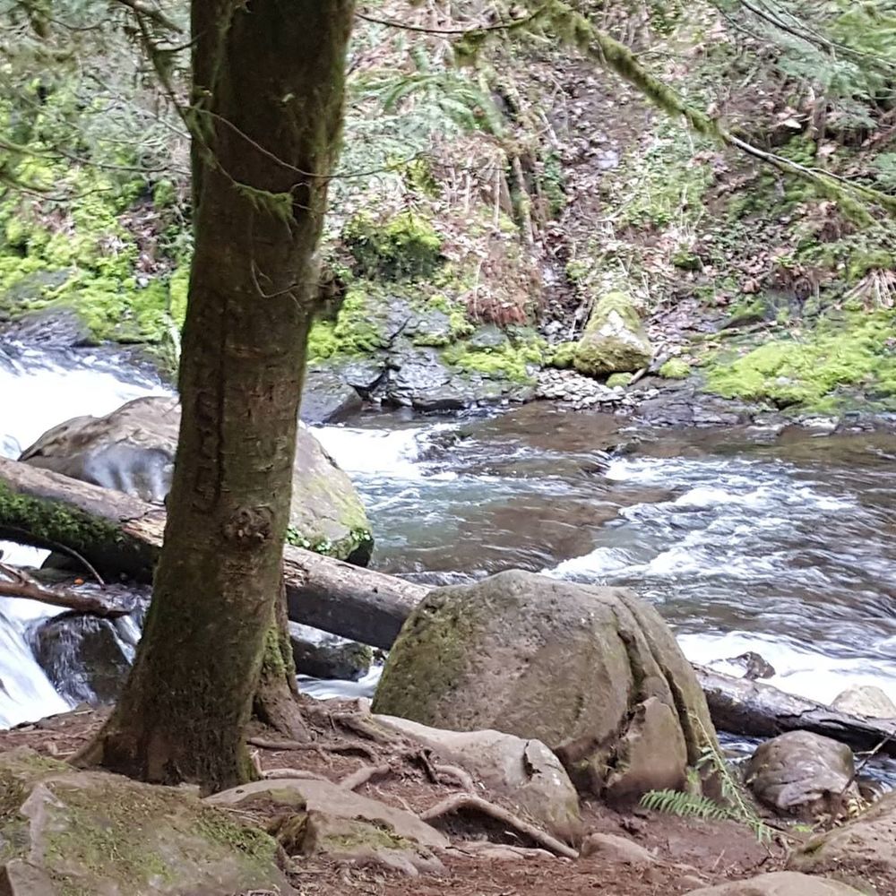 Meet your Posher, Charlie